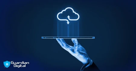 Identity Verification in a Data Privacy-Conscious World: The Future of Digital Security